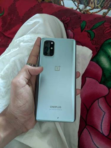 oneplus 8t 12/256