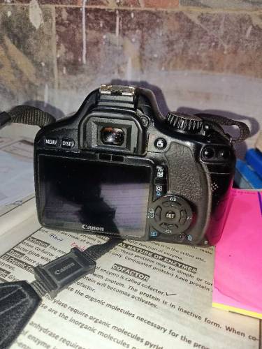 Canon camera 550D