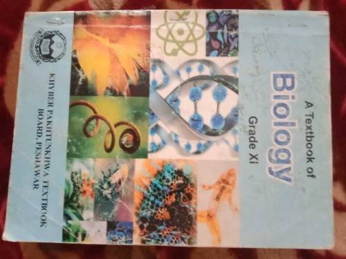 branded books 