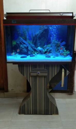 Red & Brown Aquarium
