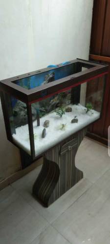Red & Brown Aquarium