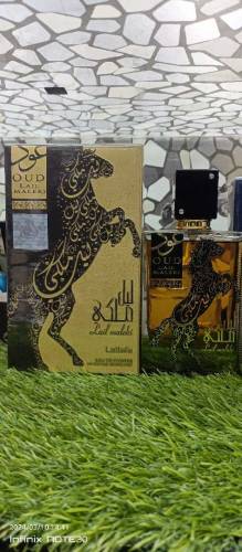 All Kinds of Original Perfume 
