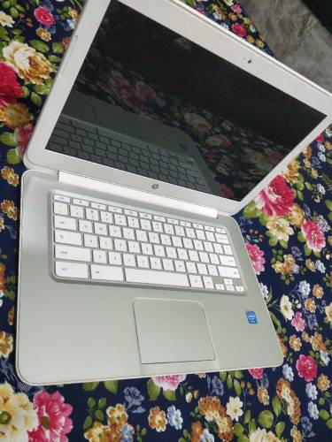 HP Intel