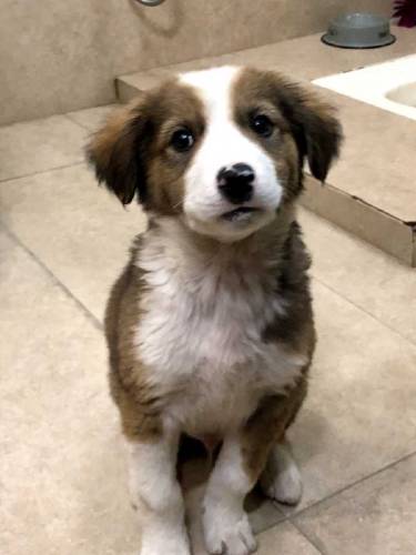 active and Cute baby urgent sale