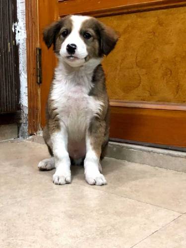 active and Cute baby urgent sale