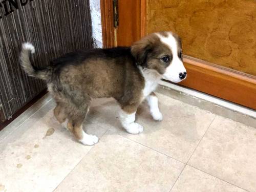 active and Cute baby urgent sale