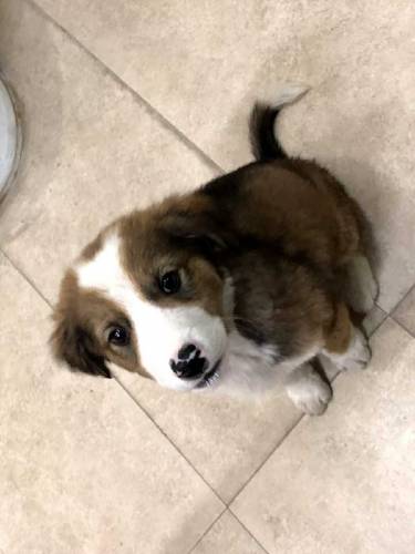 active and Cute baby urgent sale