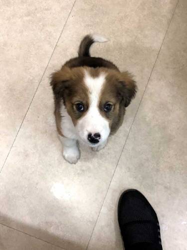 active and Cute baby urgent sale