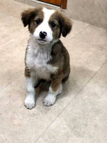 active and Cute baby urgent sale