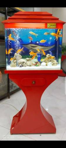 Red Wooden Aquarium