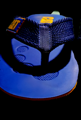 chappals for Men