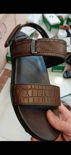 New Brand Chample
