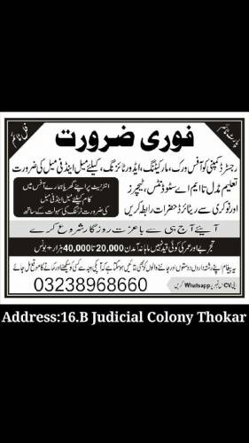 staff required of office Management 