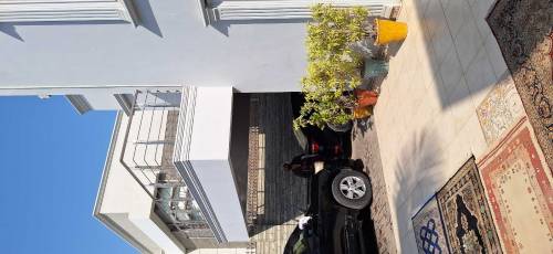 paint and polish service