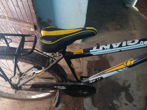 cycle only2month used