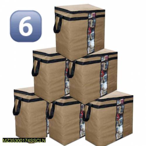 Storage Bag pack of 6