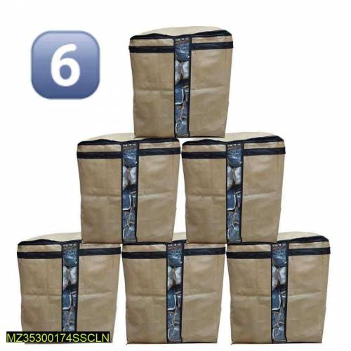 Storage Bag pack of 6