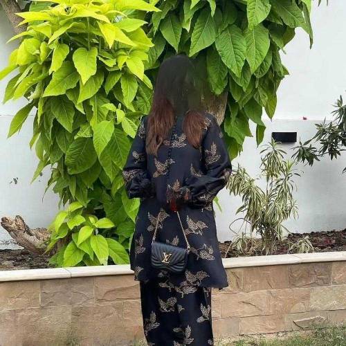 2 Pcs Women's stitched Linen printed suit