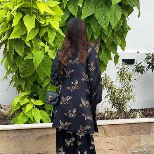 2 Pcs Women's stitched Linen printed suit