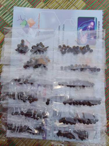 paking masala and draai fruit nimko 