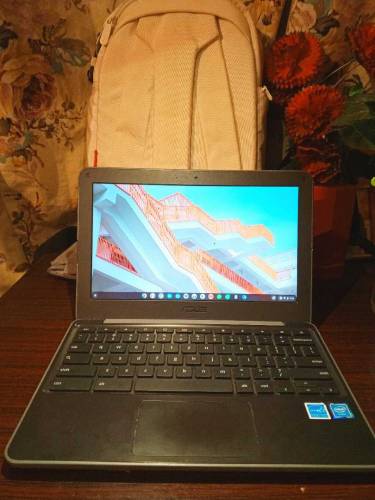Asus C202 laptop Chromebook 