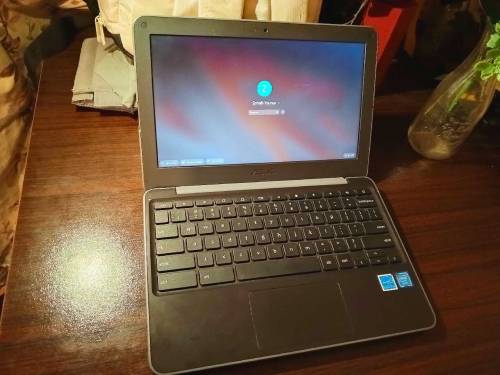 Asus C202 laptop Chromebook 