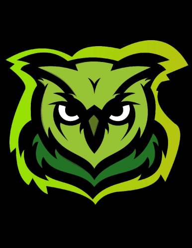 I am Graphic Designer I will make every type of logo or business card