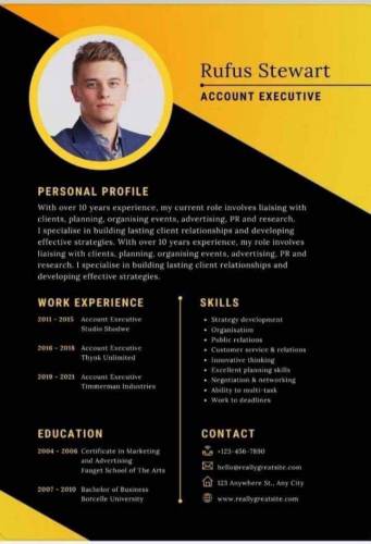 Professional Cv maker