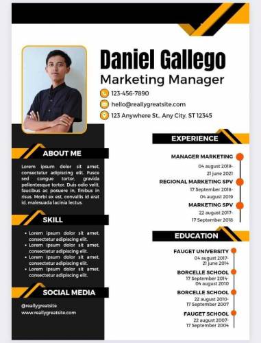 Professional Cv maker