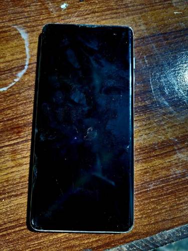samsung s10 plus officia ptal approve dual sim