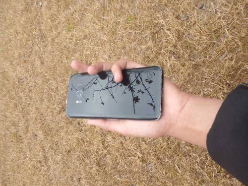 samsung s8 plus