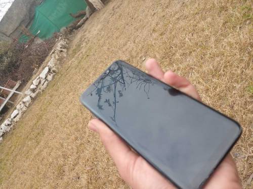 samsung s8 plus