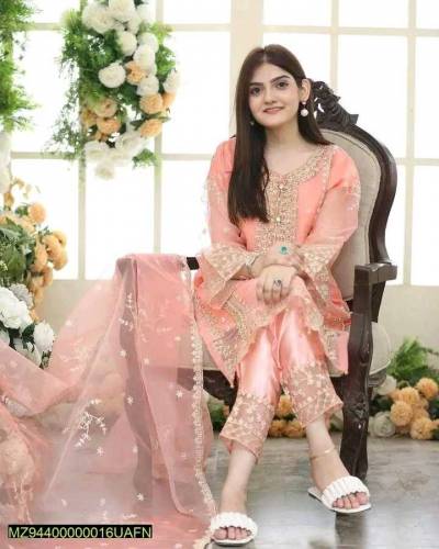 3 Pcs Women's Stitched Fancy Organza 