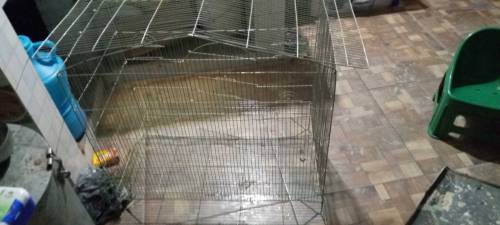 pinjra for sale price 4000 in chakwal 