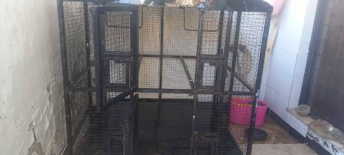case for sale