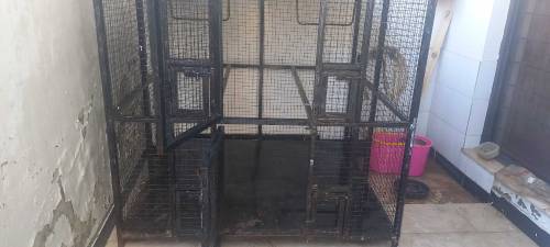case for sale