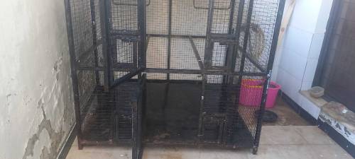 case for sale