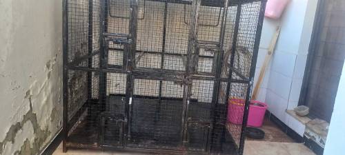 case for sale