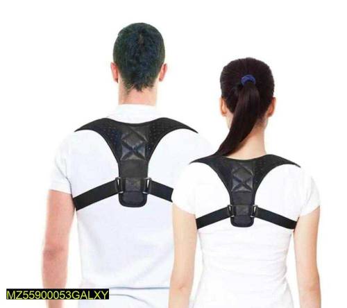 Posture Belt