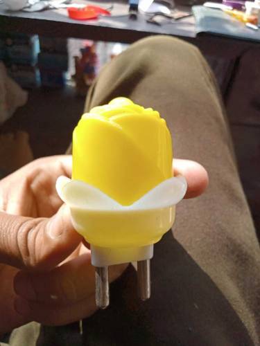 0watt electric two pin shoo bulb