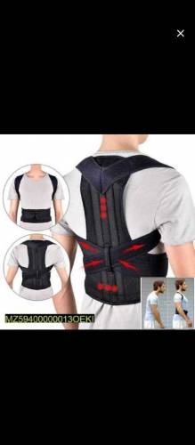 pesture belt