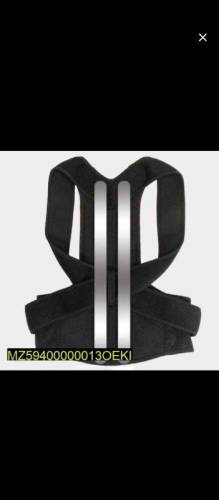 pesture belt