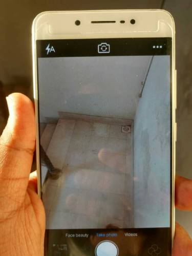 vivo x7 plus pta approved duel sim