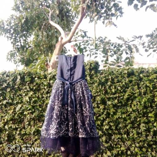 Fancy frock 