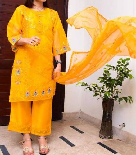 3 Pcs women's stitched fancy Organza embroidered suit 03060304243 