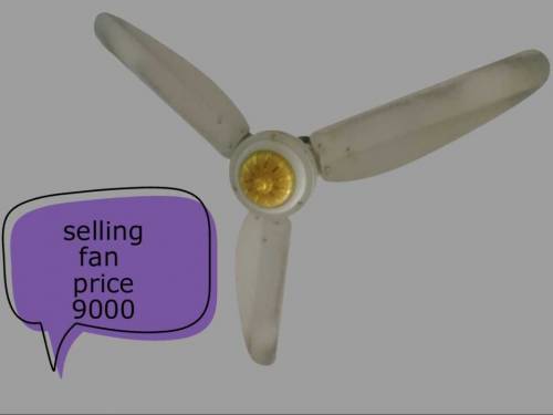 selling fans