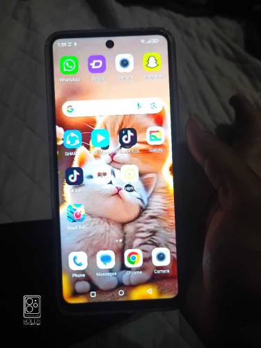 Dcode bold 3