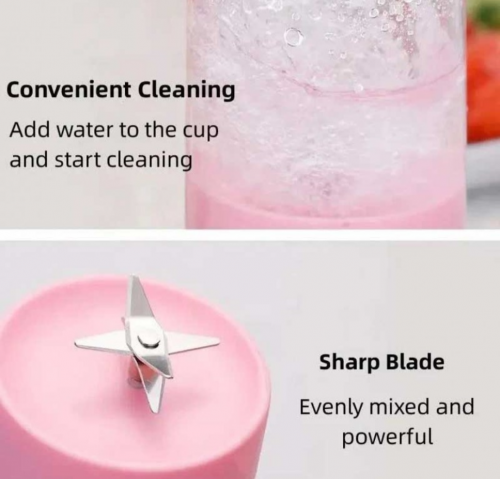Mini Juicer Blender