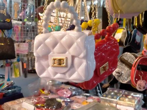 ladies bag