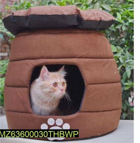 Cocoon pet house